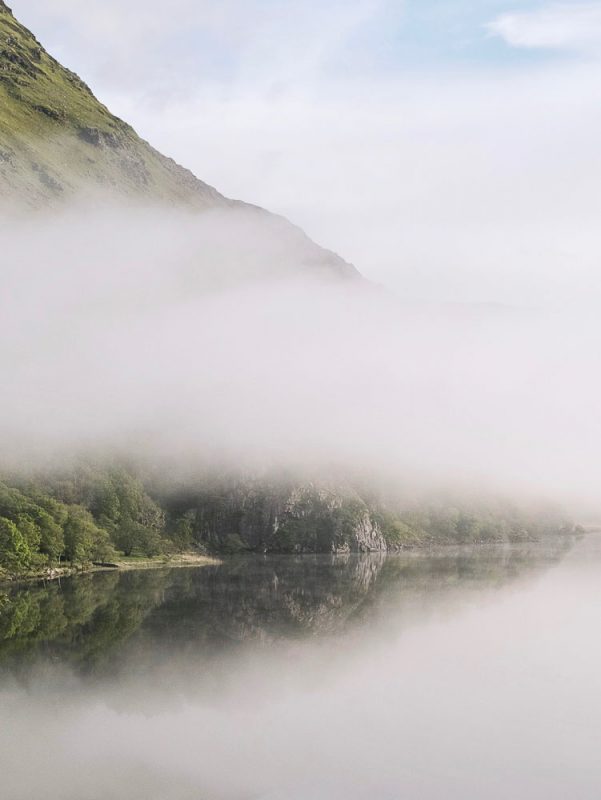 VAC Thank you unsplash22 10 of 12
