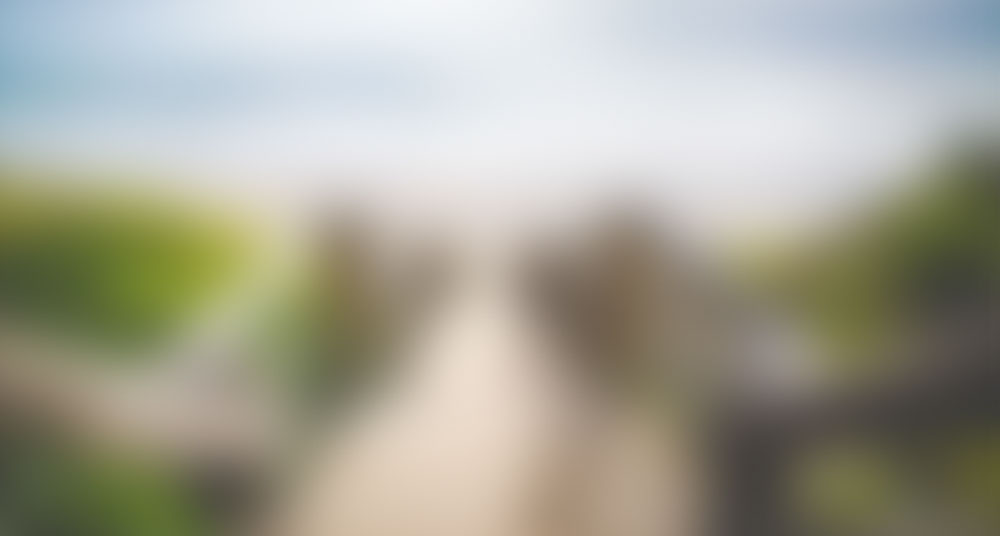 VAC Thank you unsplash32 1 of 1