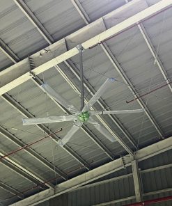 Quạt trần sải cánh 3m z6402753391966 685b5e149b51f443dd0e77b2ba46f84c