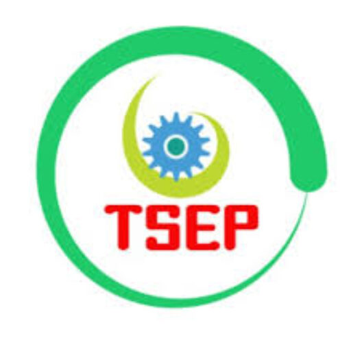 TSEP VIETNAM